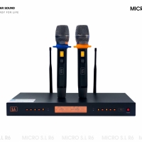  MICRO S.L R6